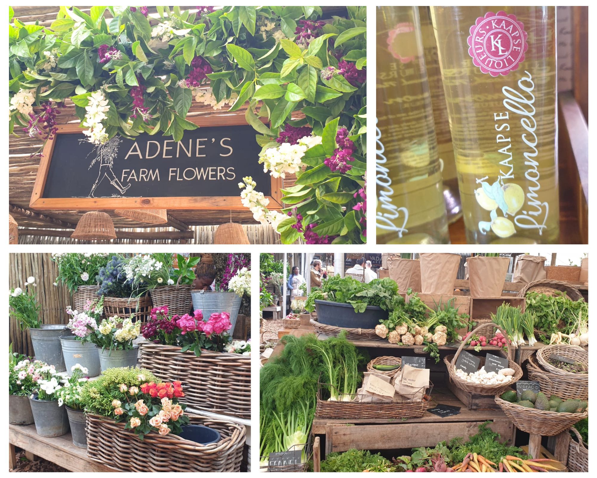 two flower markets you should visit in Cape Town Adenes Flower Market Adene's Flowers