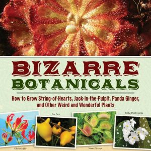 Bizarre Botanicals, How to Grow String of Hearts, Jack in the Pulpit, Panda Ginger, and Other Weird and Wonderful Plants