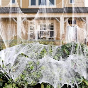 Buy spider webs for Halloween Party