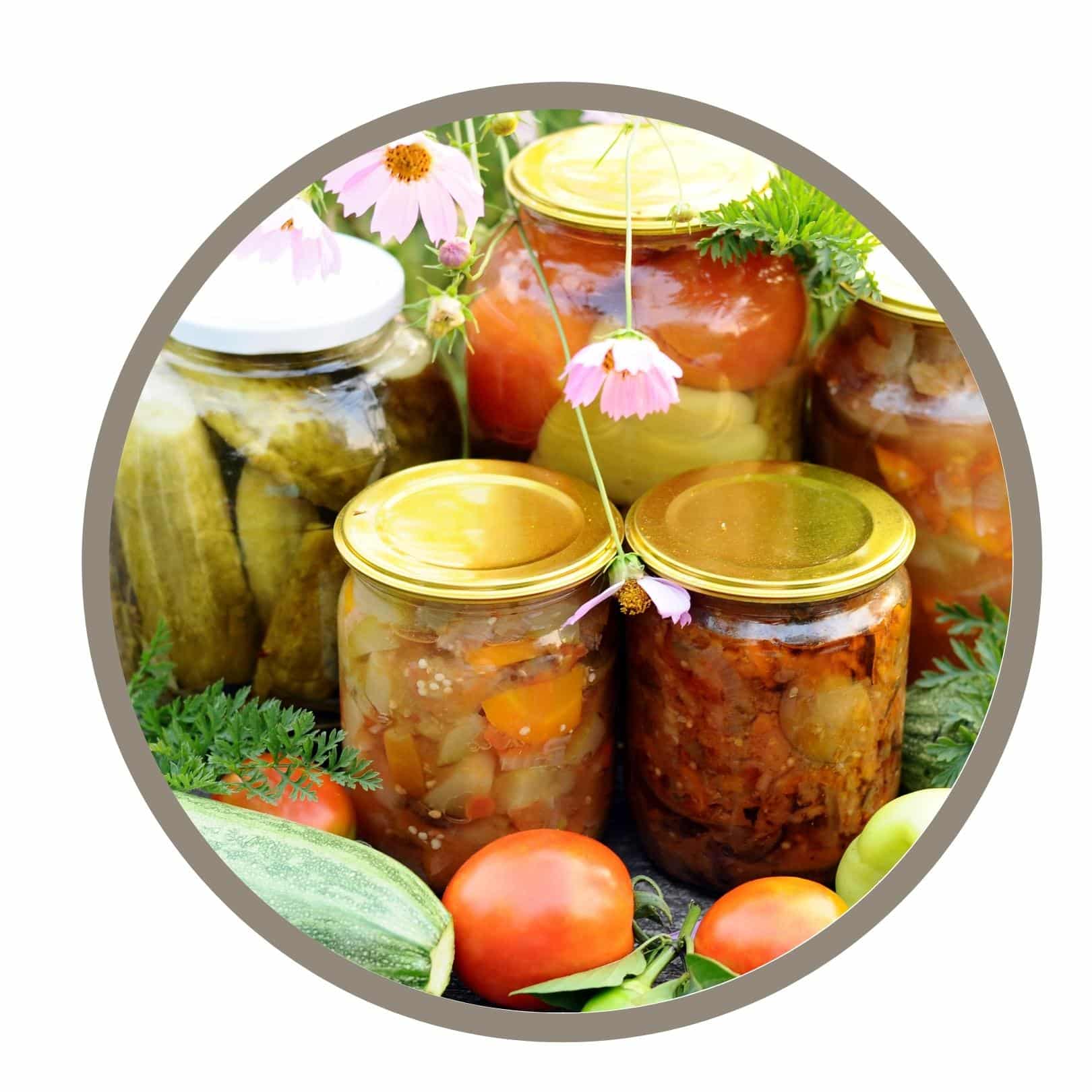 Best and easiest canning and preserving food recipes, icon
