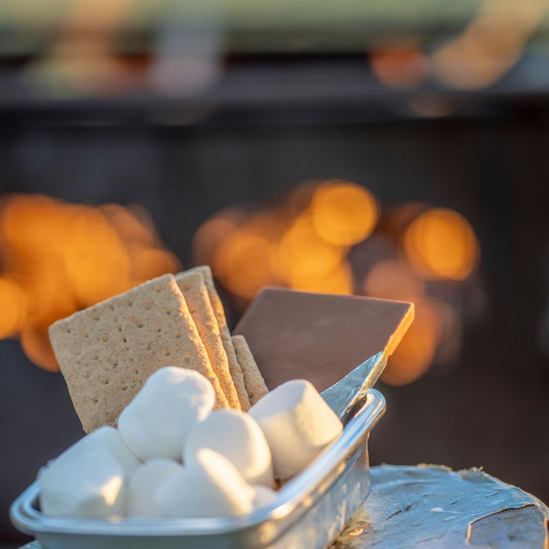 Making smores without Graham Crackers ideas how to make them is it worth making campfire treats and food