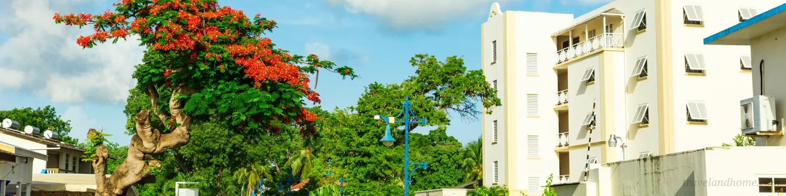 Colourful Beachfront Street with Resorts in Speightstown Barbados