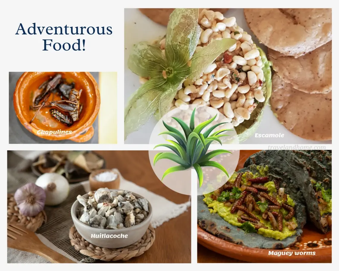 Adventurous food in Mexico, Traditional Mexican Cuisine, chapulines, escamoles, maguey worms, huitlacoche