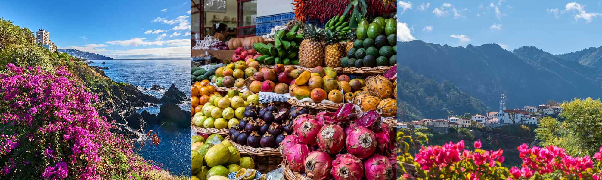 A travel guide to Madeira in Portugal
