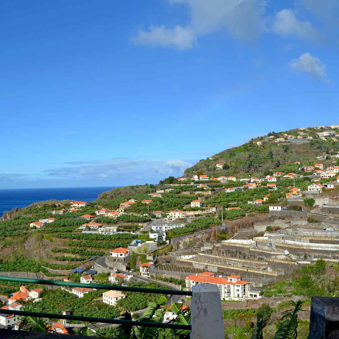 Visit Madeira - some of the most iconic sights are the banana plantations