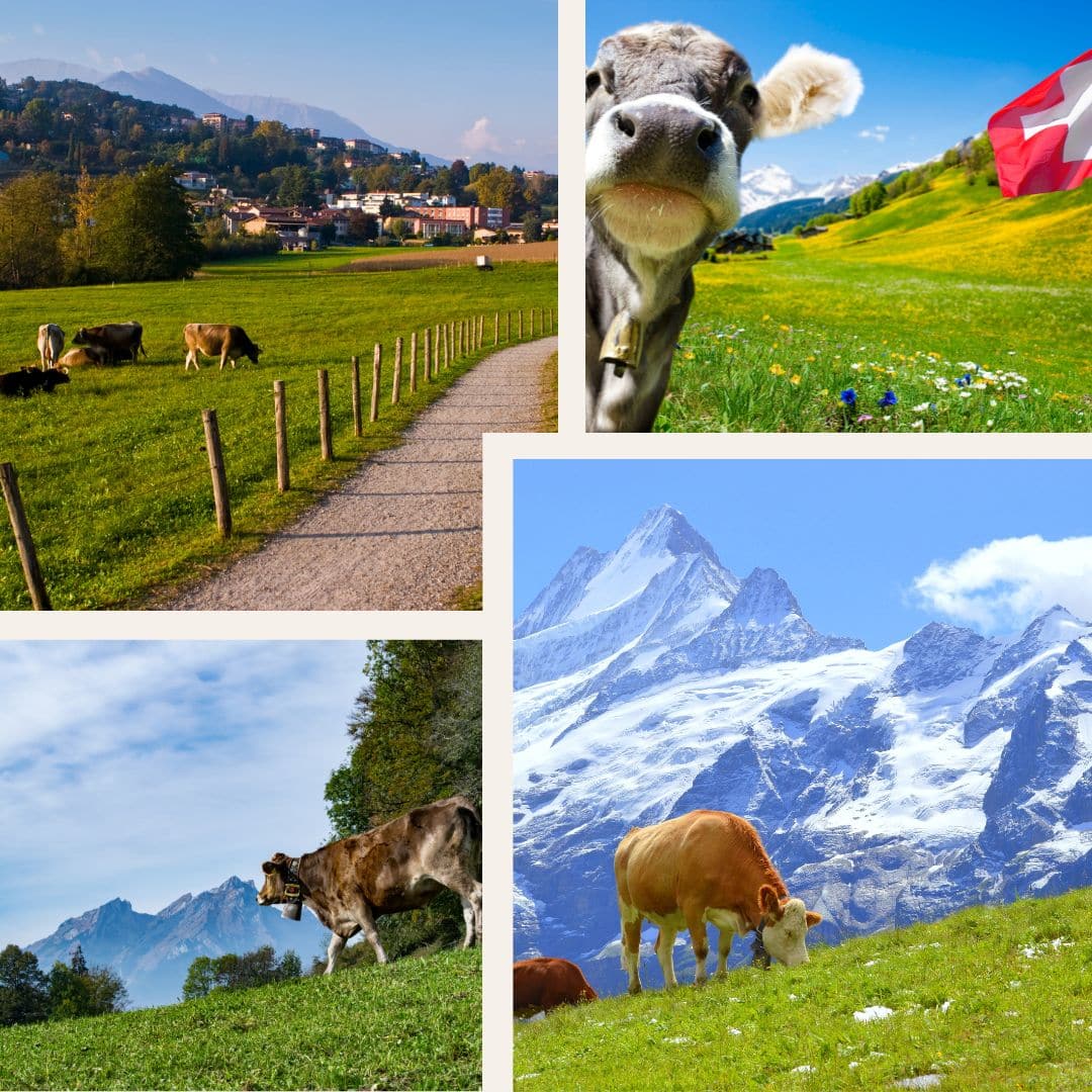 10 most beautiful places to visit in Switzerland vacation inspiration travel ideas Travel and Home