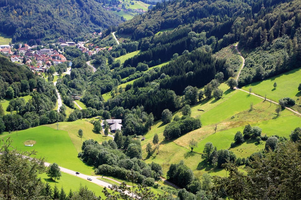 From Strasbourg, Black Forest and Baden Baden Day Trip