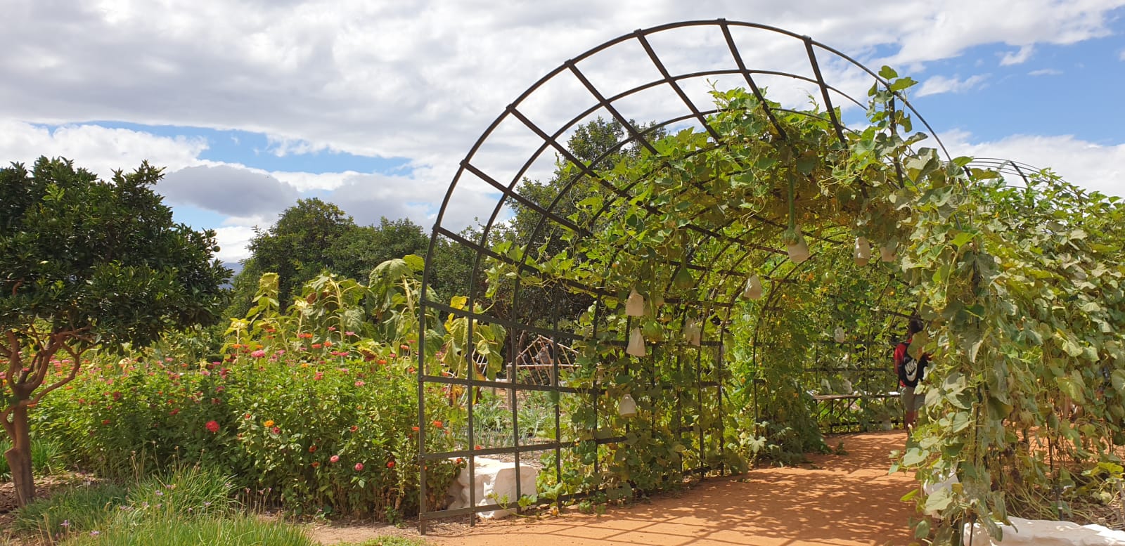 Babylonstoren garden tunnels
