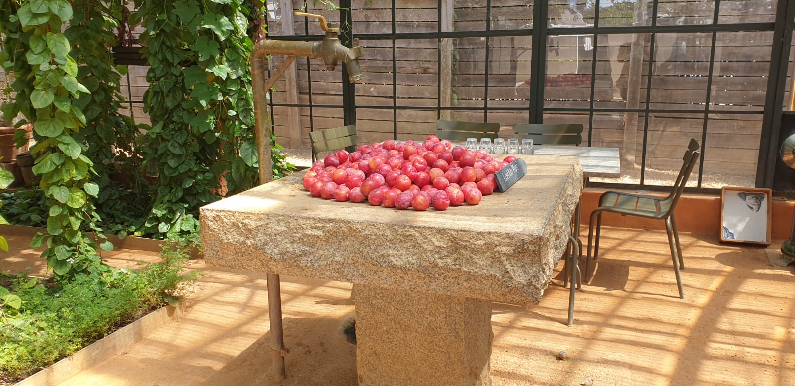 Babylonstoren - things to do and see - restauarants