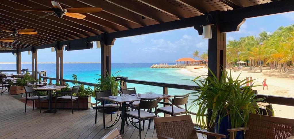 Best restaurant in Bonaire - place to stay