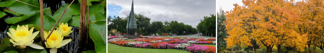 Best time to go to Margaret Island in Budapest, Hungary