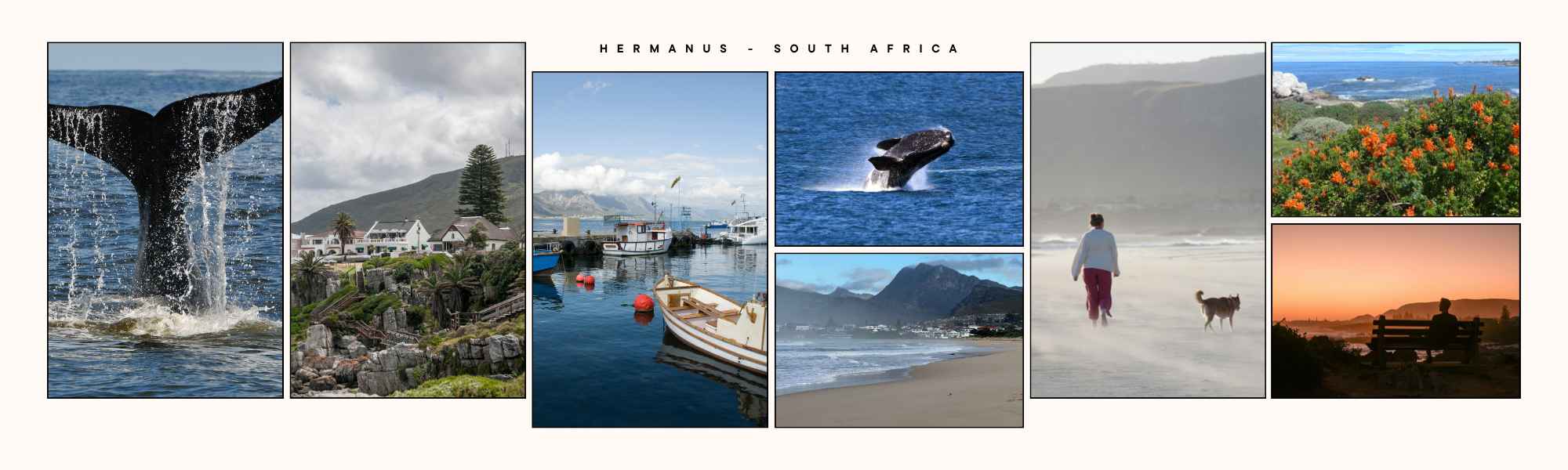 Discover Hermanus in South Africa - Coastal family holidays