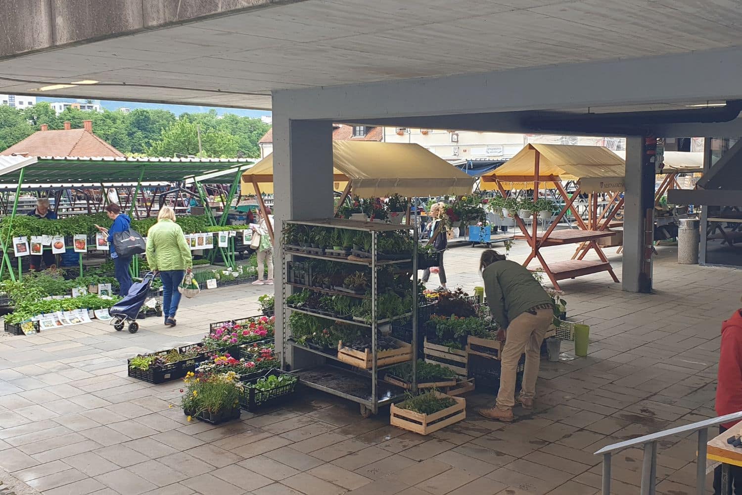 Early morning market at Lent, Maribor in Slovenia