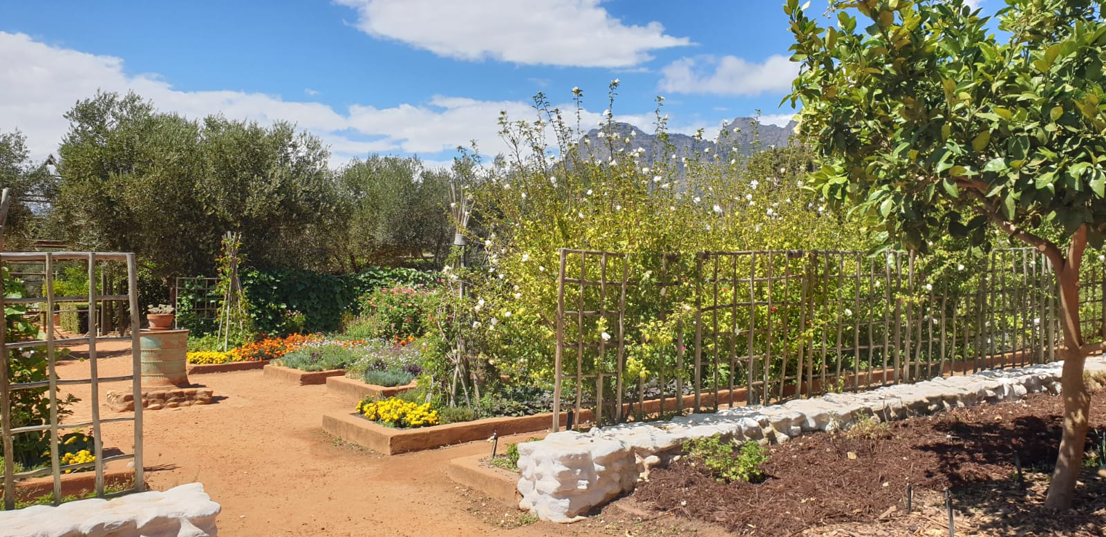 Gradens of Babylonstoren in the Western Cape of South Africa