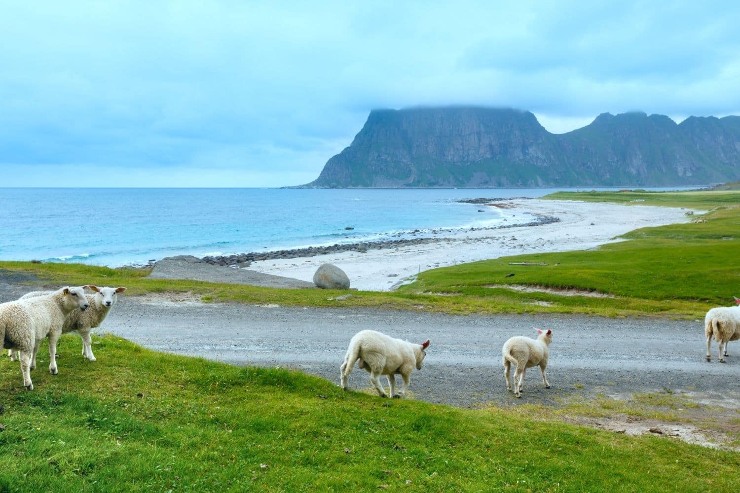 Haukland Beach - Lofoten why you should visit