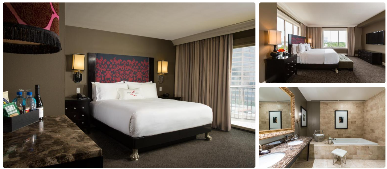 Hotel Zaza Houston Museum District, best hotels in houston for sightseeing near attractions