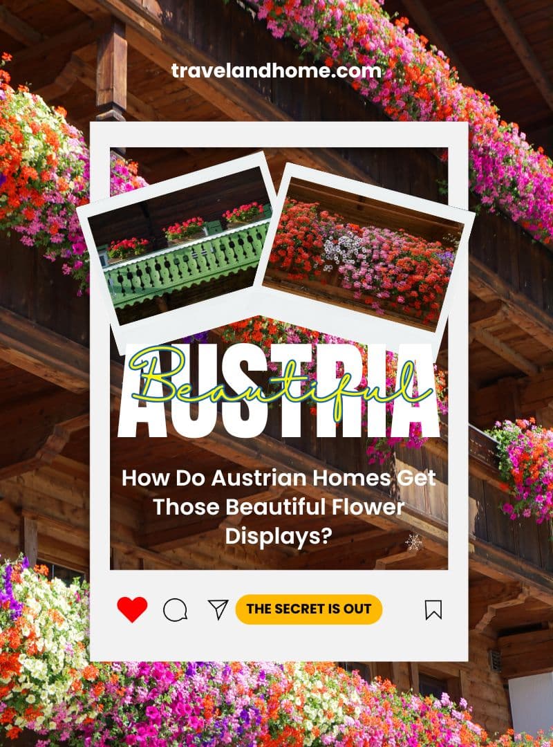 How Do Austrian Homes Get Those Beautiful Flower Displays