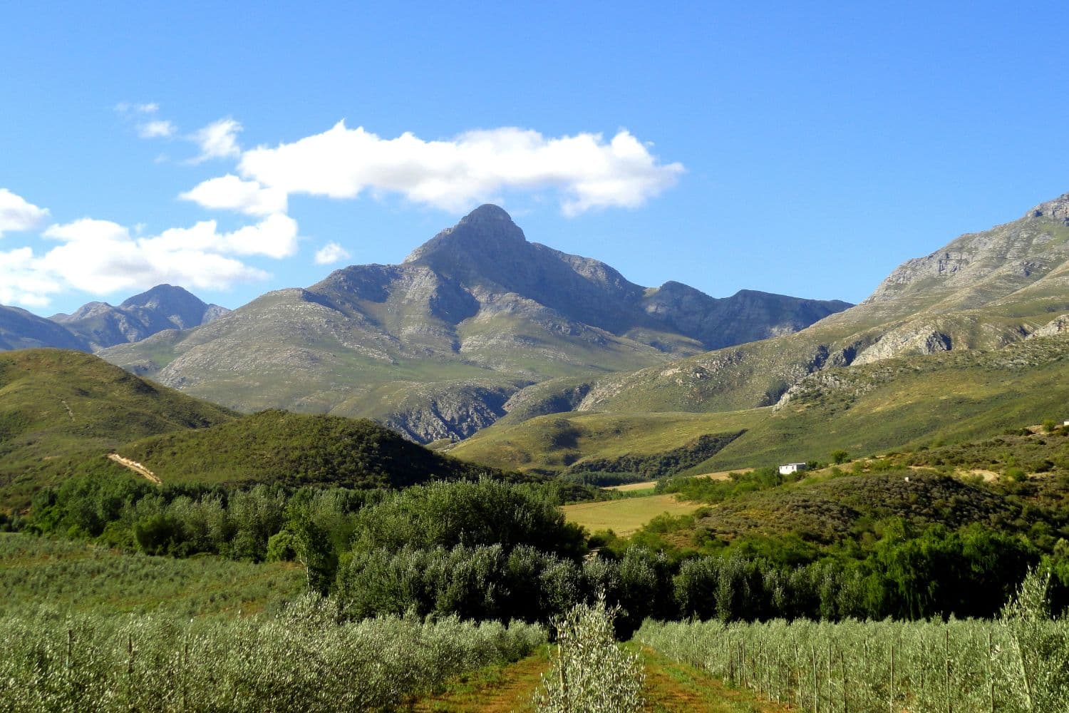 Oudtshoorn Landscape in South Africa - Places you should visit