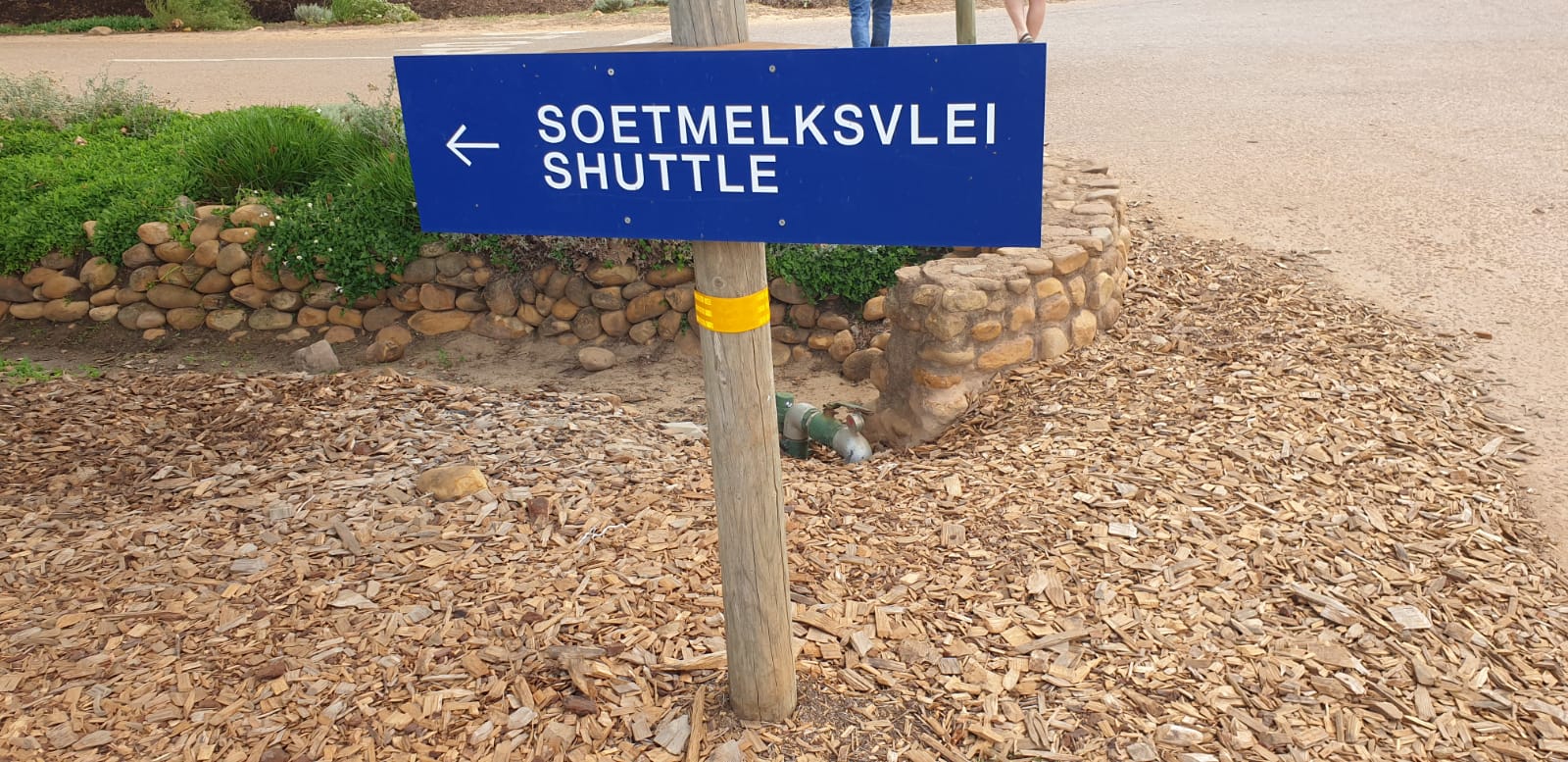 Soetmelksvlei at Babylonstoren