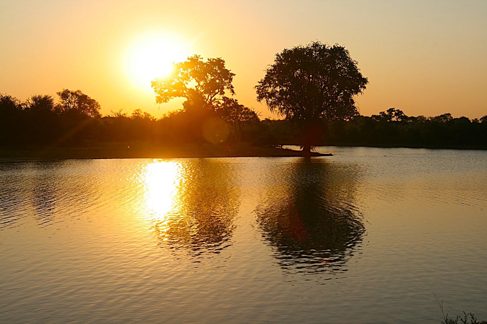 Sunrise over a waterhole in the Timbavati, Mpumalanga Province, South Africa
