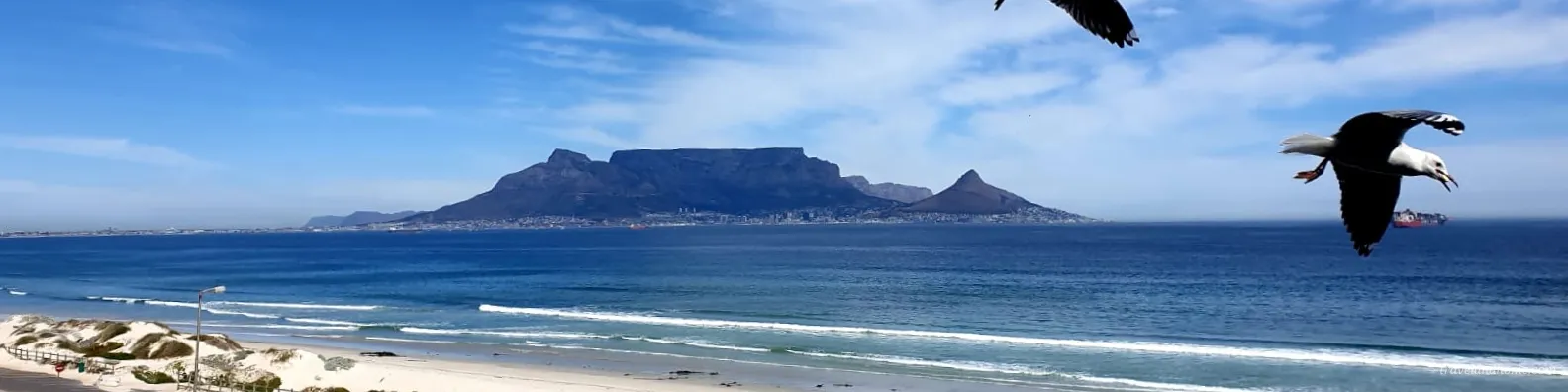 Table Mountain, Lion's Head, Chase The Sun to Cape Town, South Africa, Travel and Home