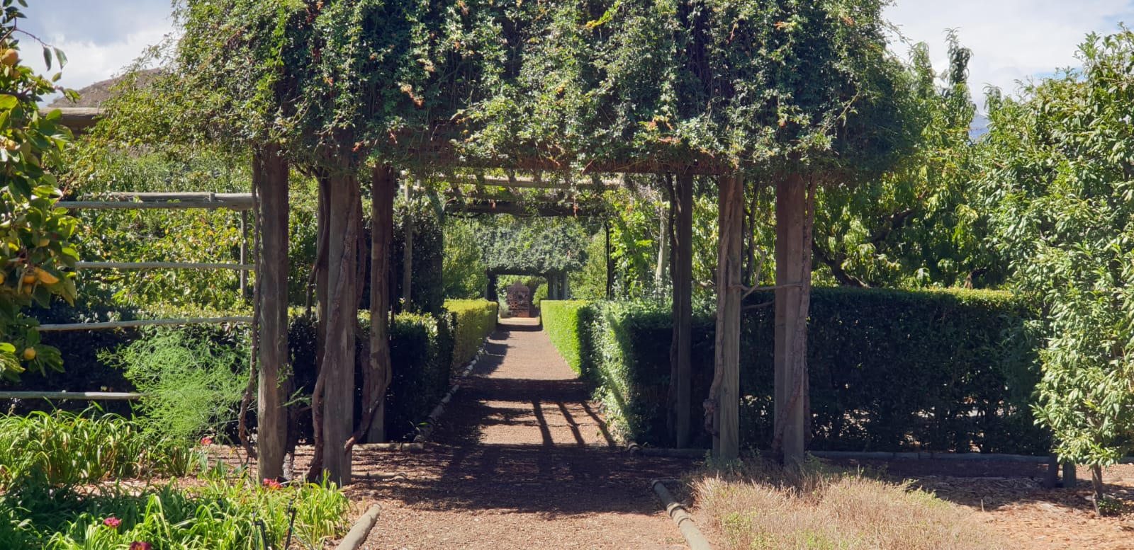 The gardens of Babylonstoren - secrets to know