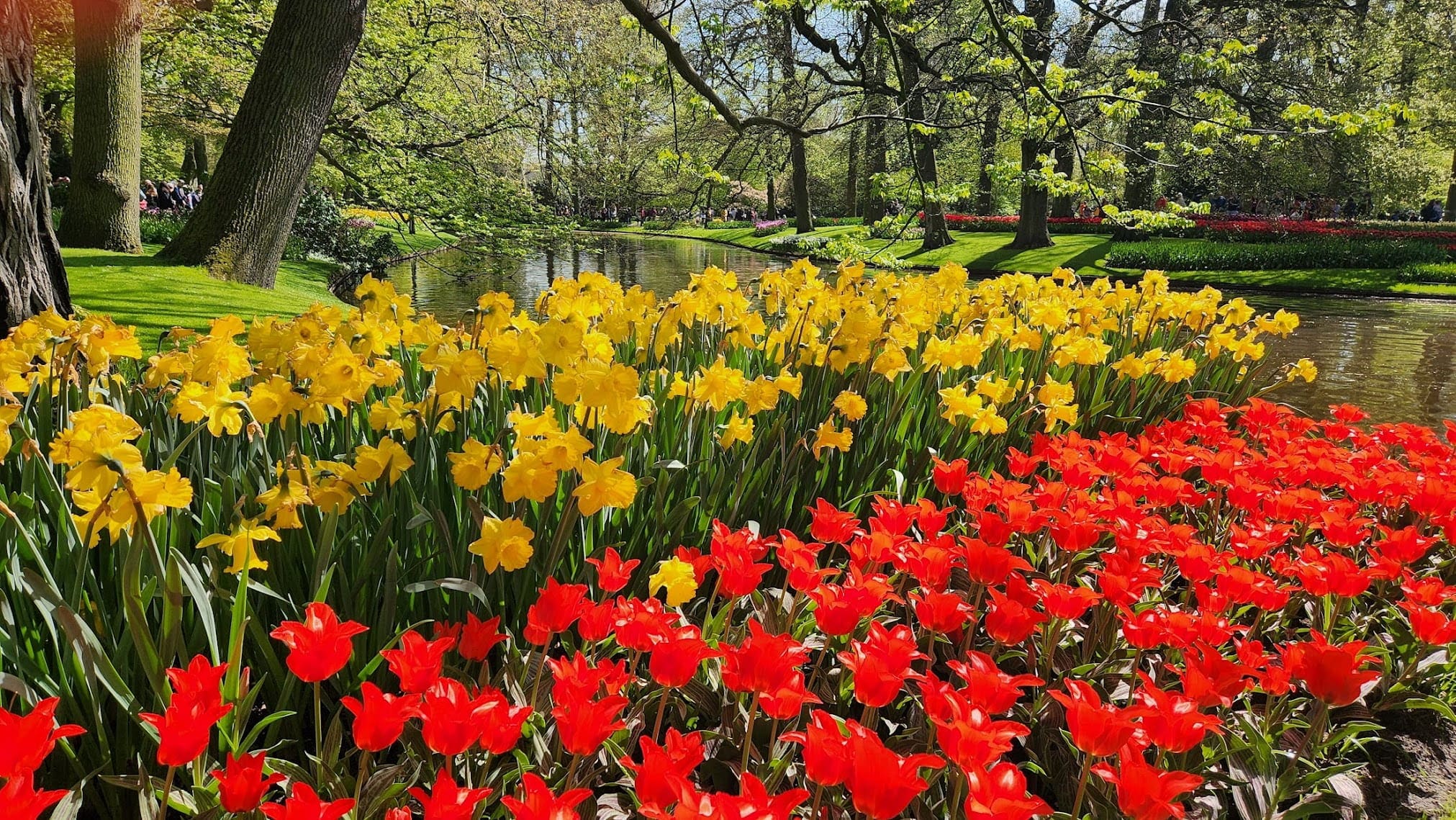 Unforgettable travel experiences, tulips, Keukenhof, Amsterdam