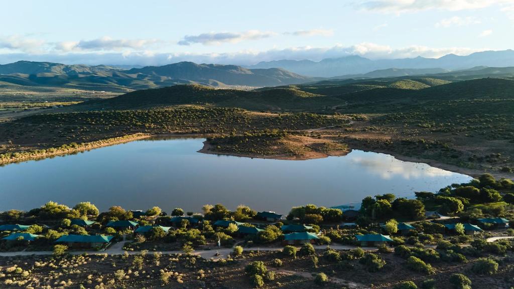 Buffelsdrift Game Lodge in Oudtshoorn - offering glamping experience in the Western Cape