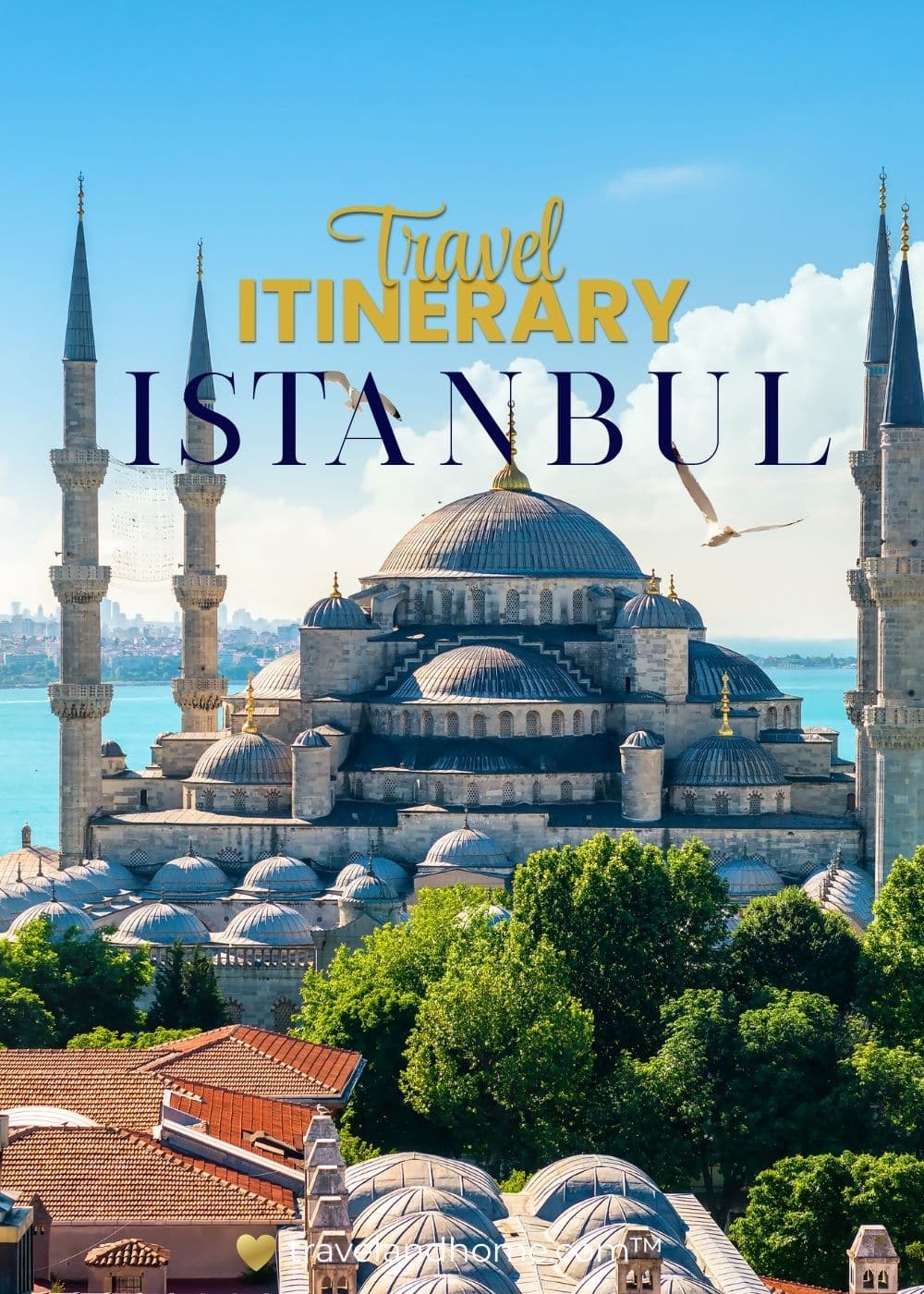 1 Day in Istanbul travel itinerary, what to do during 24 hour flight layover in Istanbul, Turkiye