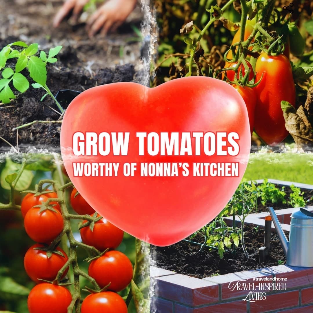 Grow tomatoes with coffee ground, italian tomatoes, travel and home minGrow Tomatoes Worthy of Nonna’s Kitchen