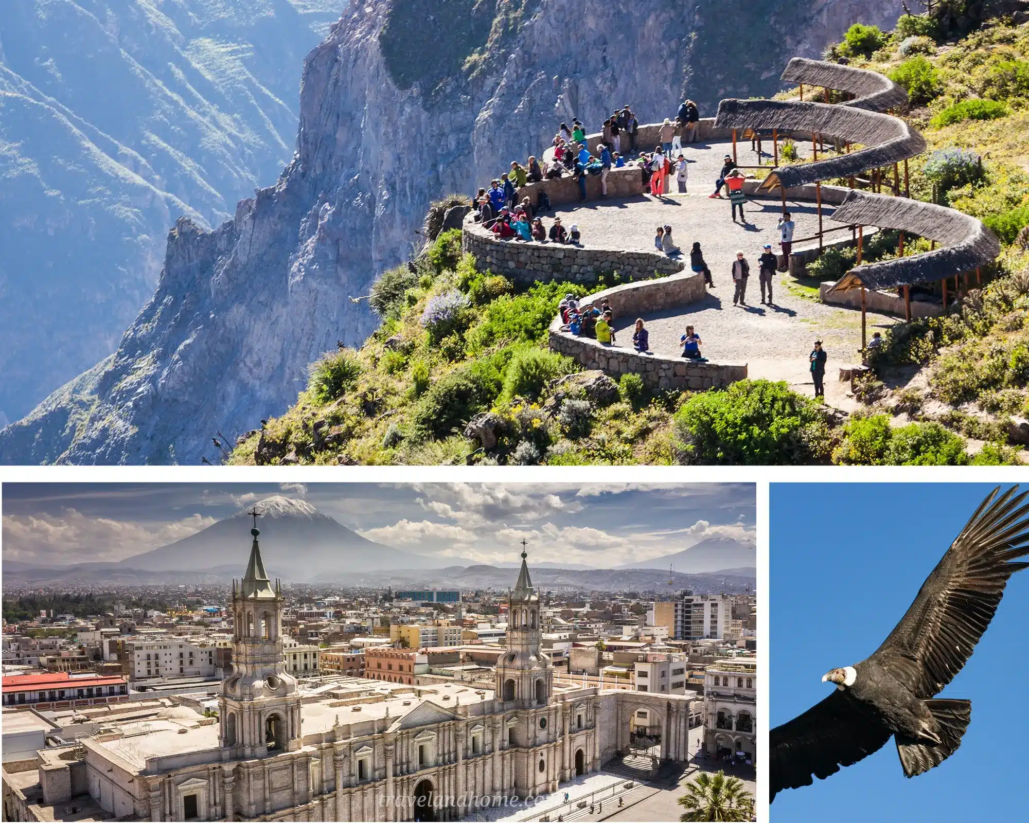 Multi Days Arequipa Tour Packages, 3 days, condors, Colca Canyon, PunoTop Arequipa Tour Packages for an Unforgettable Multi-Day Adventure