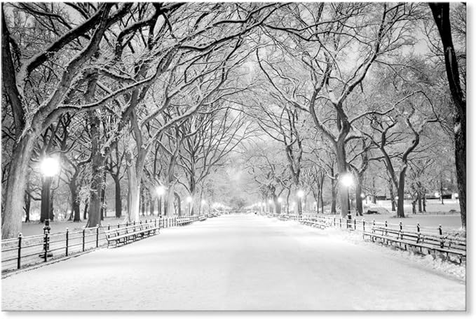 Snowy Central Park Wall Pictures. travel inspired living, Ski Chalet Decor