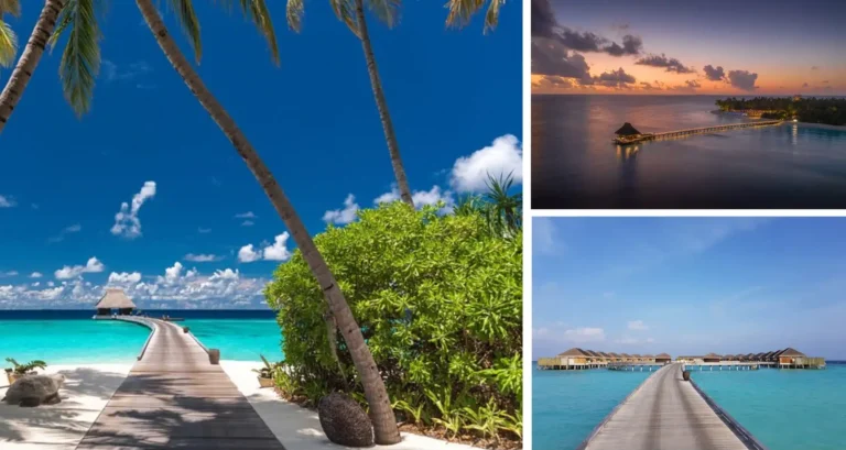 Velaa Private Island, Maldives Luxury Resorts