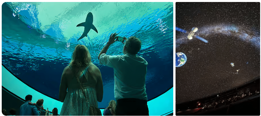 Experience science in a new way through interactive exhibits at Miami's Frost Museum of Science. Book your entry ticket to the museum, access its aquarium, and witness a thrilling planetarium show.