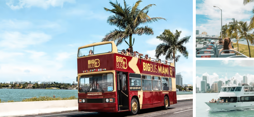 Buy Miami Hop on Hop off Open top Bus Tour with Optional Cruise Tickets