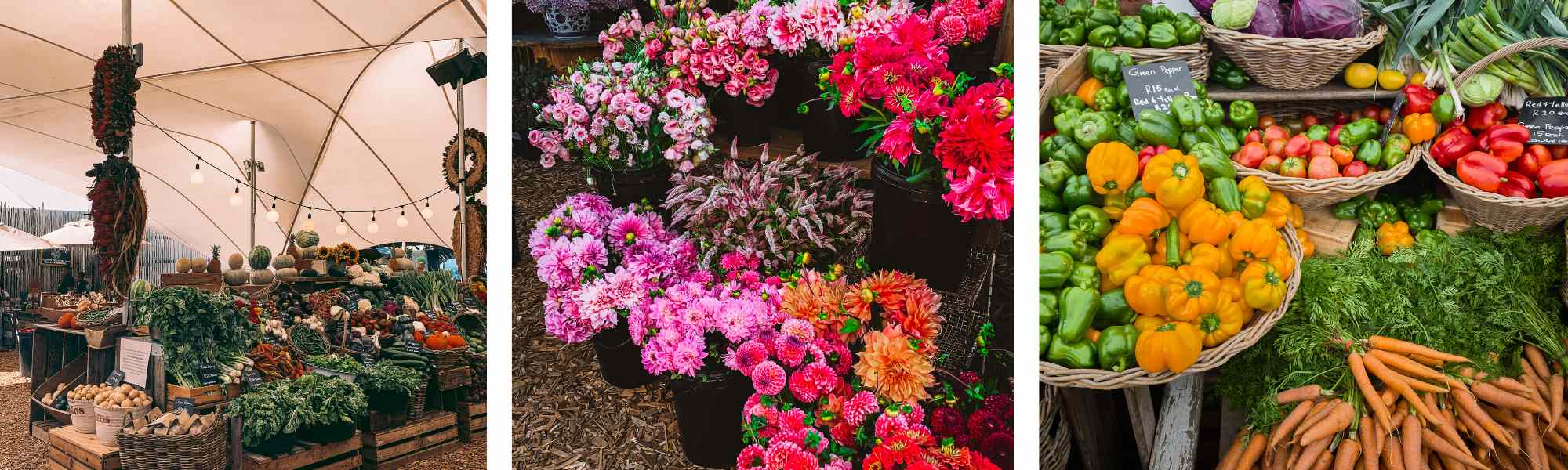 Flower Markets in Cape Town - must visit places