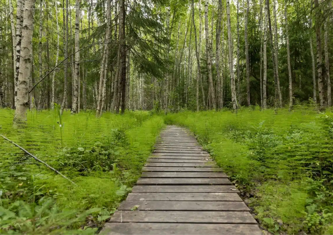 High coast of Sweden hiking trail, #travelandhome,best UNESCO World Heritage Sites in Sweden