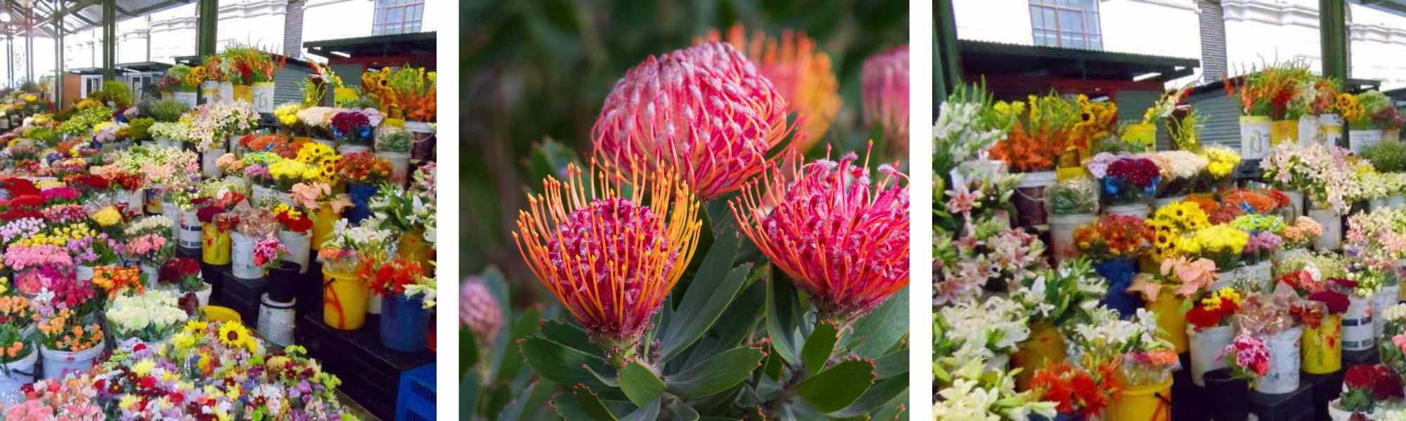 Trafalgar Place flower market in Cape Town - Adderley Street