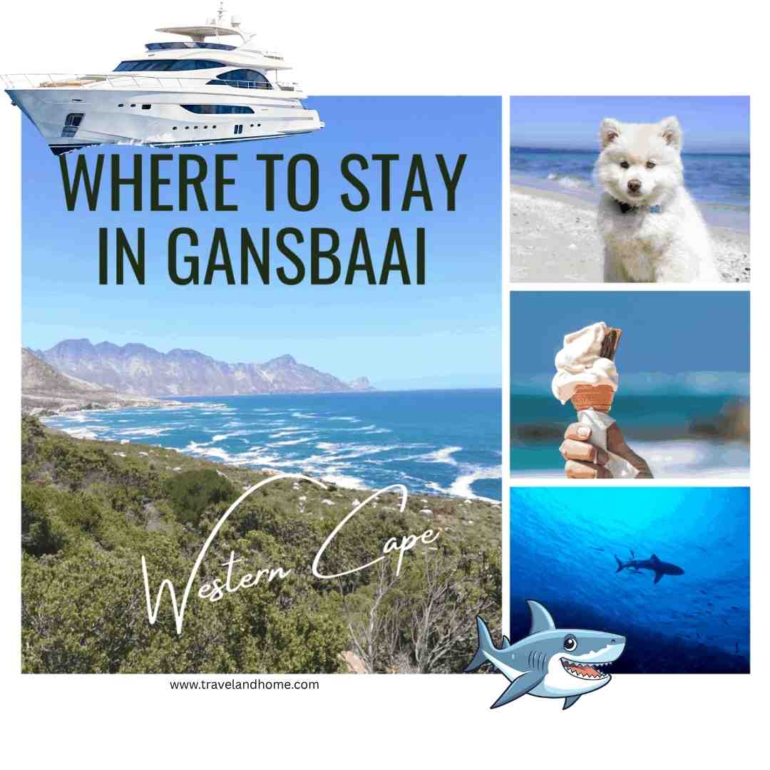 Best places to stay in Gansbaai - Western Cape South Africa