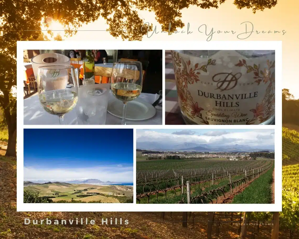 Durbanville Hills, Travel Western Cape Province