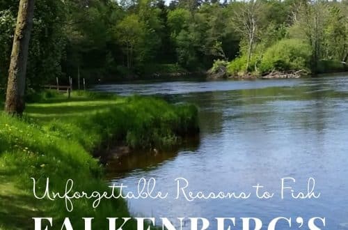 Fishing at Falkenberg's Ätran River, Sweden min