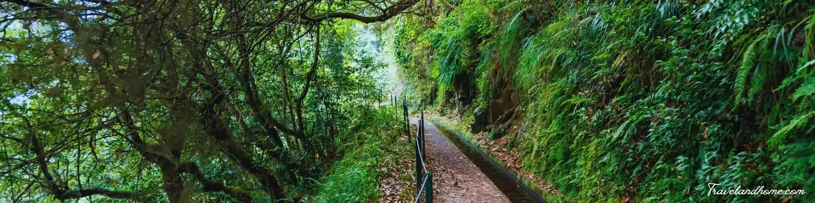 Levadas hikes, Madeira best cruise destination