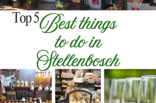 Top 5 best things to do in Stellenbosch Western Cape South Africa
