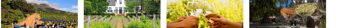 Top Western Cape Wine Tasting Tours, Travel Western Cape Province
