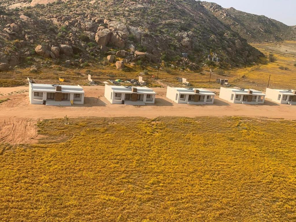 Accommodation in Springbok for flower viewing