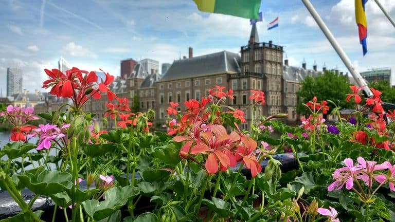 Binnehof, Den Haag, Nederland, Netherland
