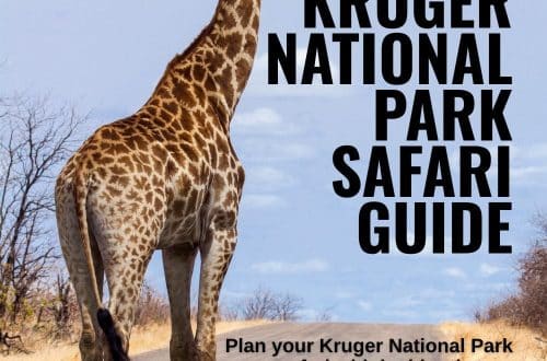 Plan, Kruger National Park safari guide, insider tips, camps, wildlife, safety, packing, unforgettable trip