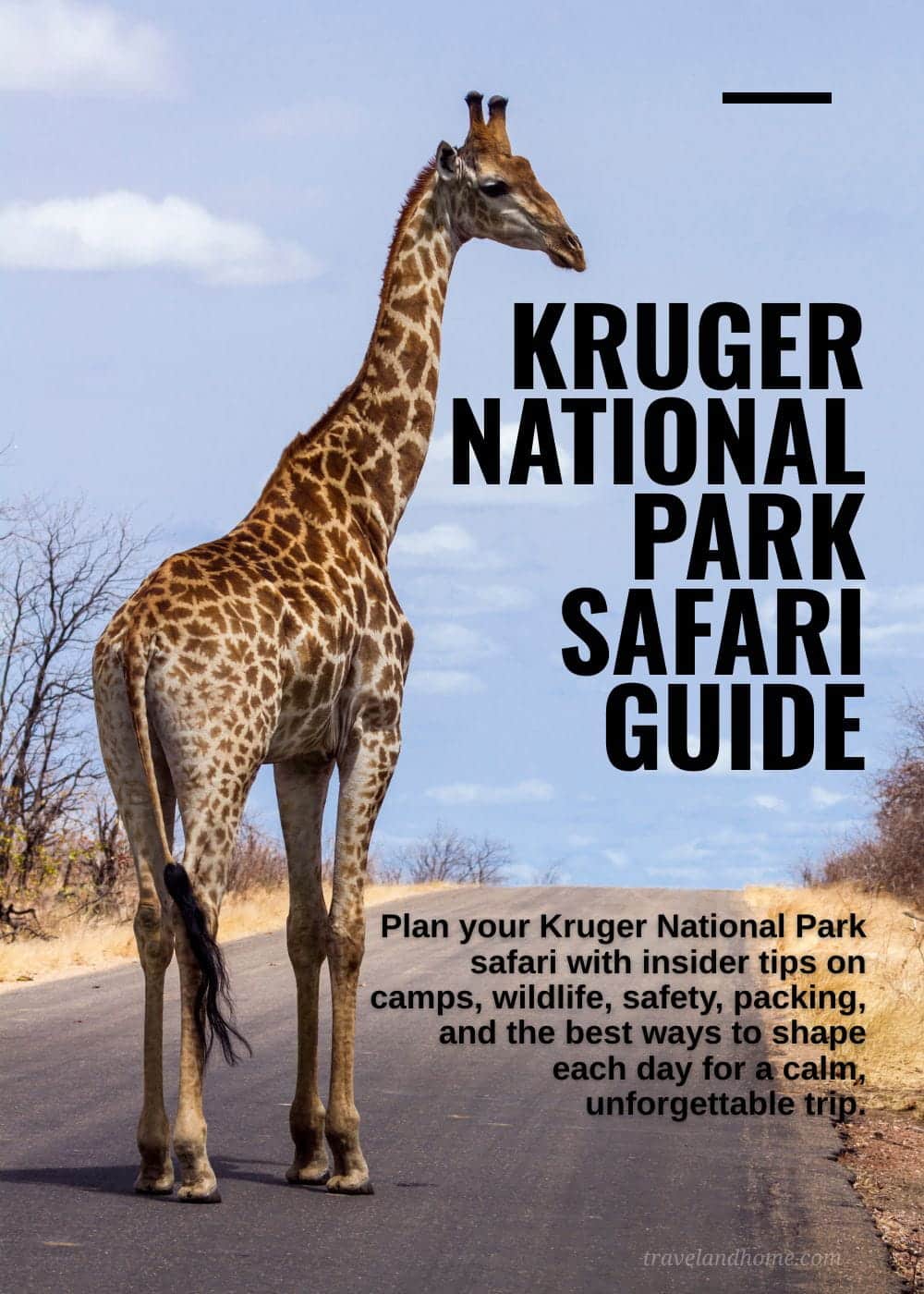 Plan, Kruger National Park safari guide, insider tips, camps, wildlife, safety, packing, unforgettable trip