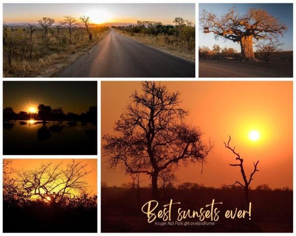 The best time to go to the Kruger National Park, Mpumalanga Province, South Africa