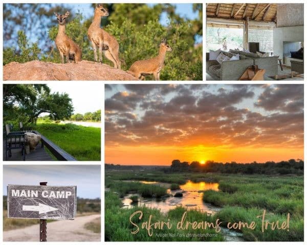 Where to stay in the Kruger National Park Main Camp